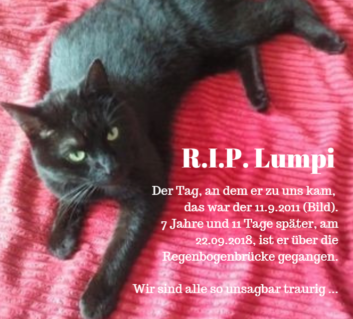 Lumpi