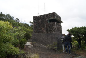 Vivia auf Pico