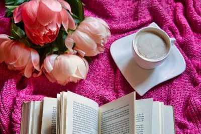 Buch lesen