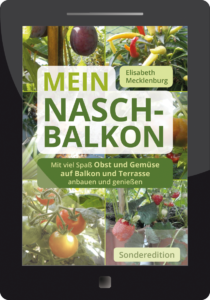 ebook Nasch-balkon