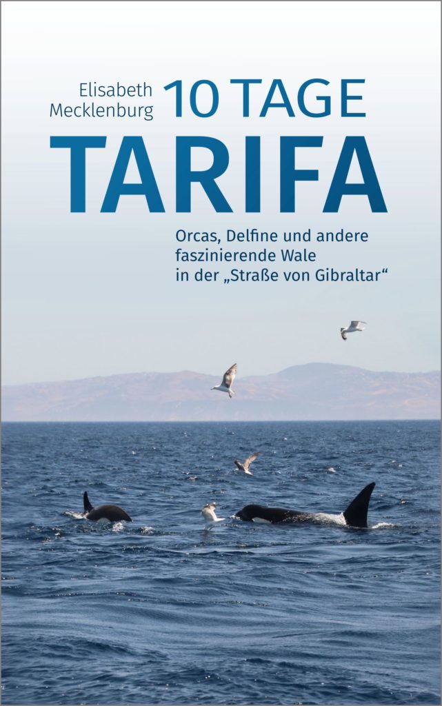 10 Tage Tarifa