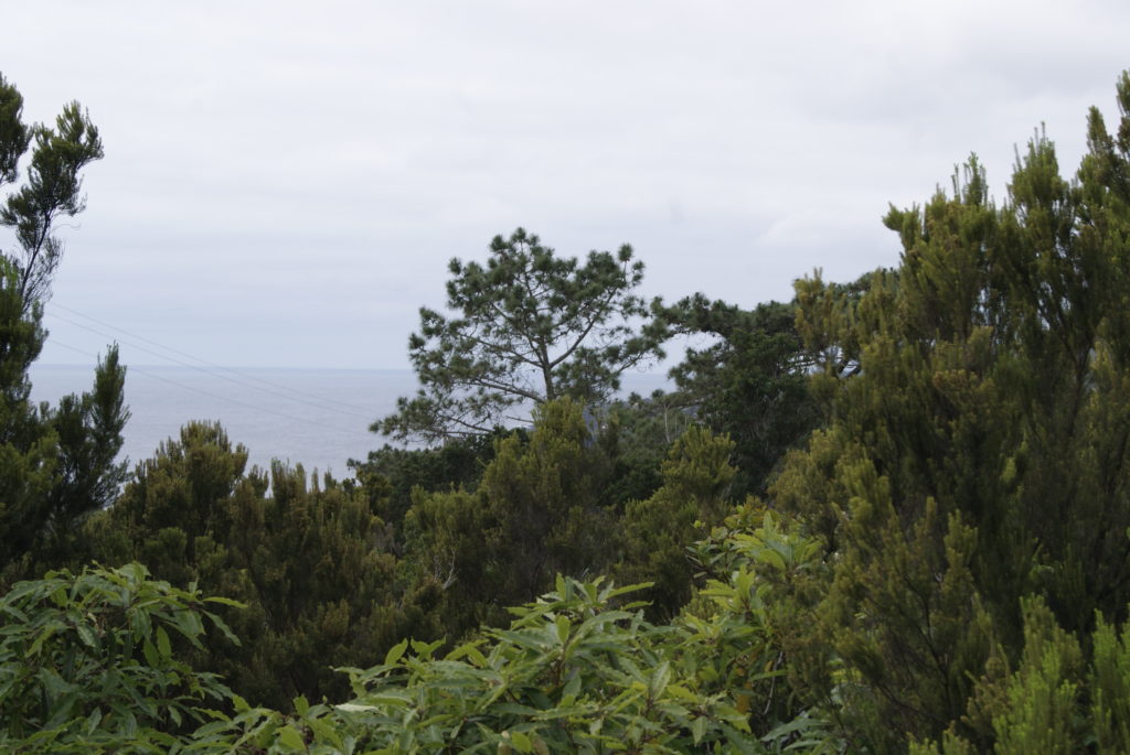 Blick auf den Atlantik